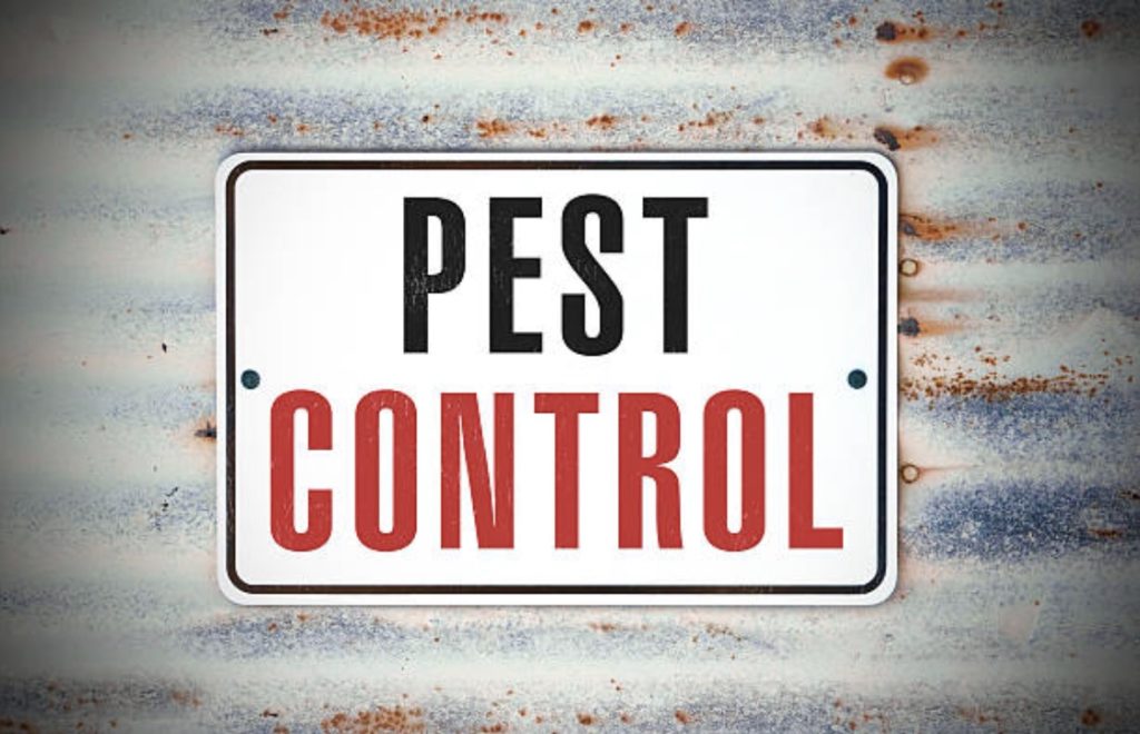 Pest Control Raleigha